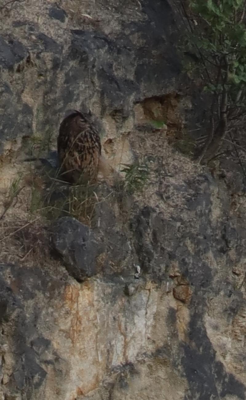Fort St. Pieter en de Oehoe